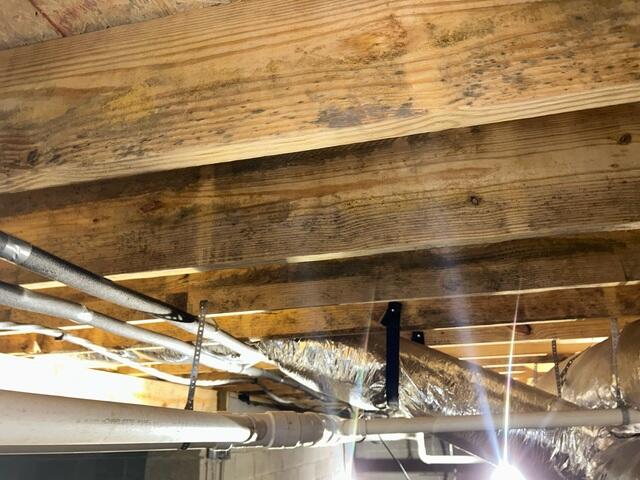 Mold on Floor Joists