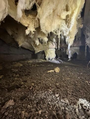 Crawl Space Before Encapsulation