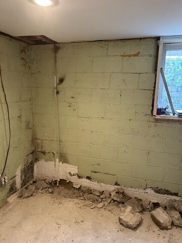 Before- Rough Basement Walls Need Help!