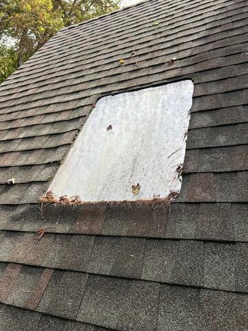 Before: A Skylight That Saw Better Days