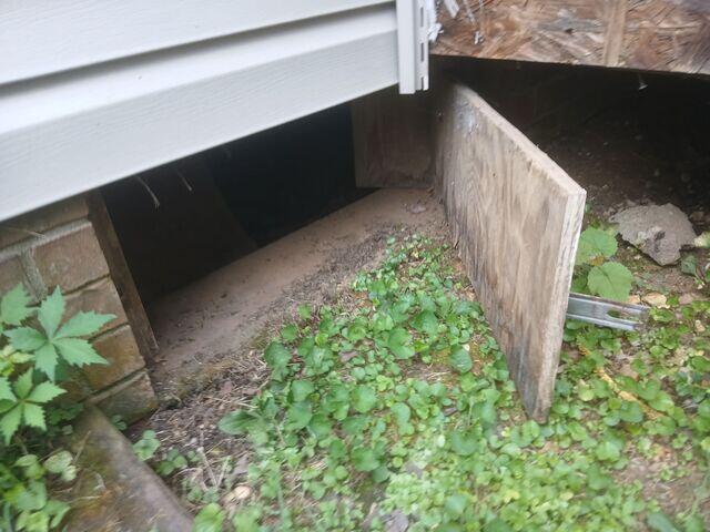 Old Crawl Space Door