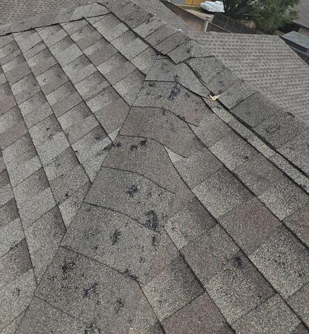 Damaged Shingles