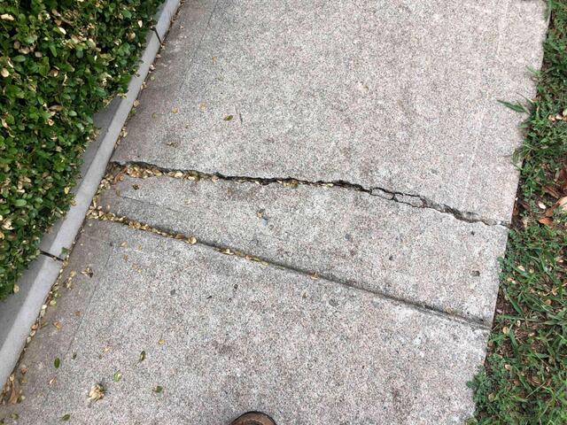 Cracked Sidewalk