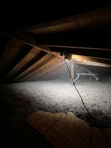 Insulated and Guarded Attic