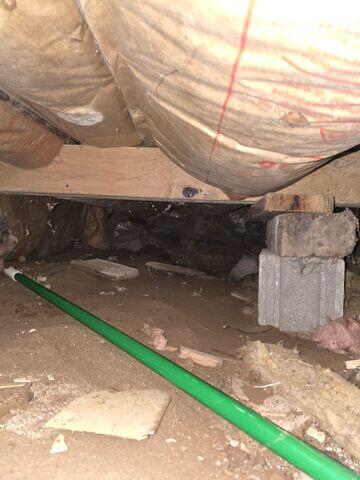 Dirty Crawl Space Under Kitchen