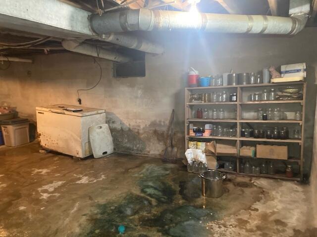 Moldy Concrete Basement Floor