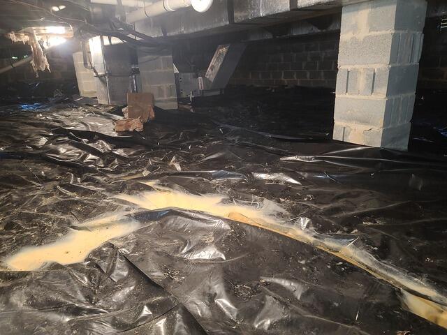 Before Encapsulation