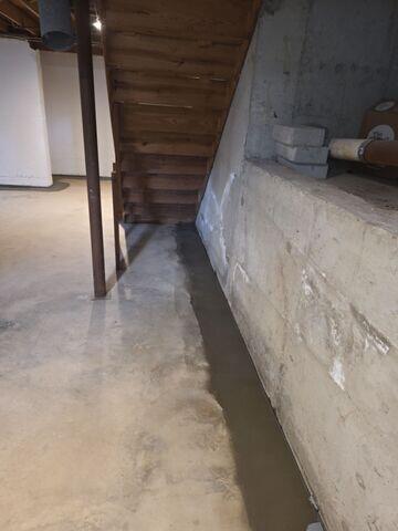 WaterGuard Drainage System