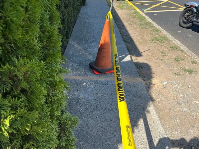 NexusPro Joint Sealant