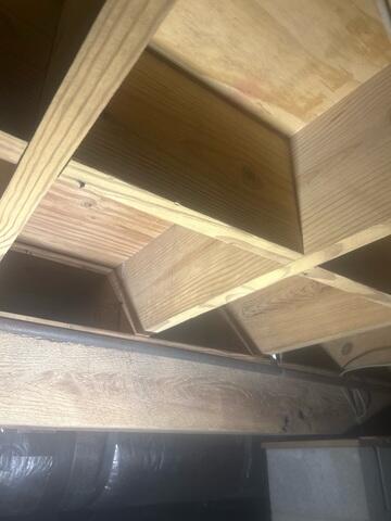 After Mold Treatment