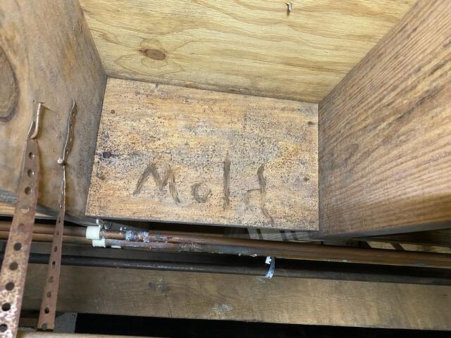 Mold in the Crawl Space