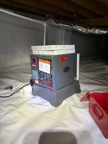 Pint Sized Powerhouse