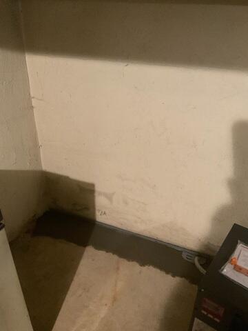 WaterGuard Drainage System