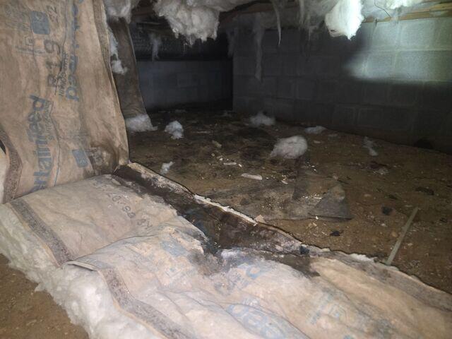 Damp Crawl Space