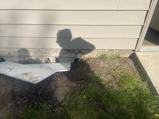 Foundation Damage Exposed
