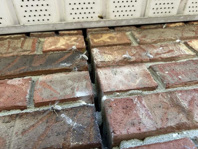 Coming From a Small Opening