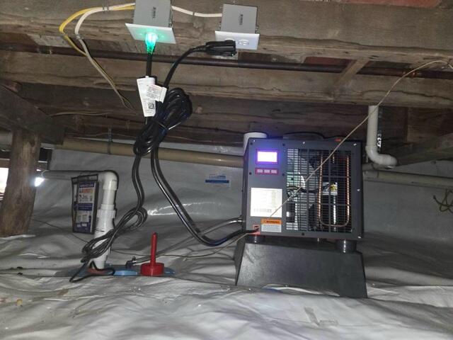 Preventing Mold and Eliminate Odors