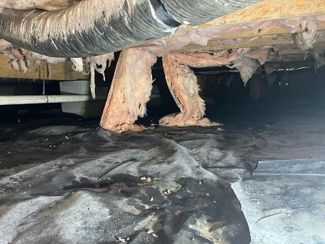 Musty Crawl Space in Berea, Kentucky