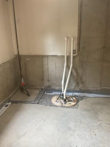 TripleSafe Sump Pump