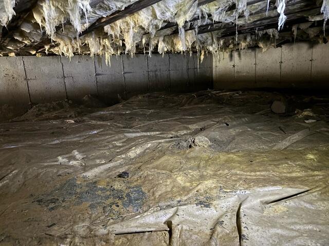 Wet Crawl Space