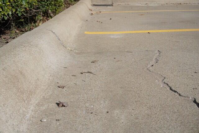 After PolyLevel and NexusPro