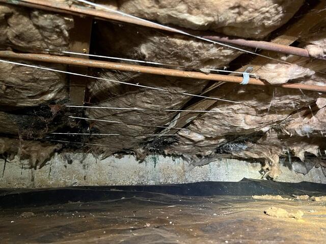 Perfect Home for Pests