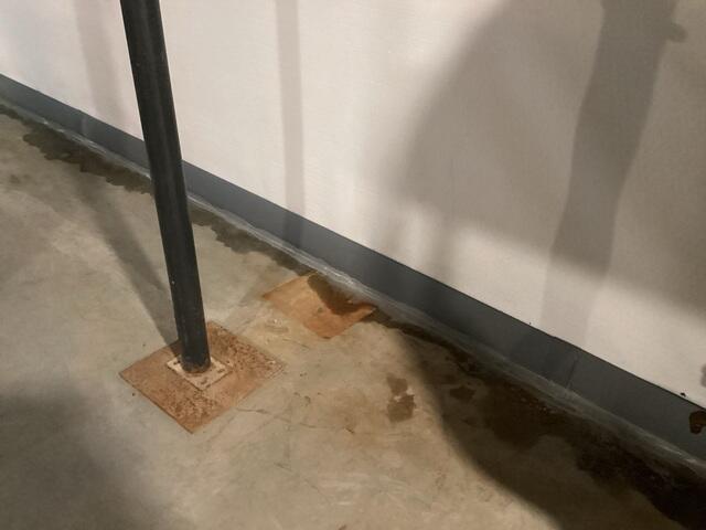 WaterGuard Drainage System