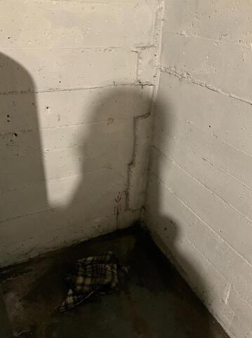 Before TripleSafe Sump Pump System