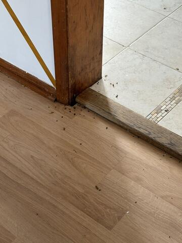 Next Part of the Process