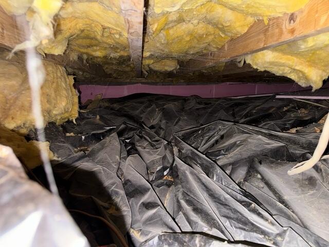 Damp Crawl Space
