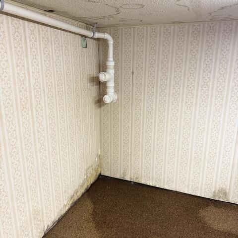 Soggy Basement Carpets