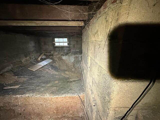 Damp Basement