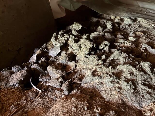 Before Encapsulation: Crawlspace Soil
