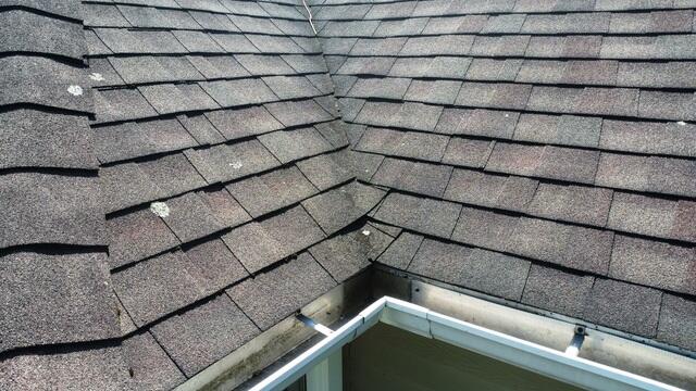 Before: Worn Shingles & Lichen