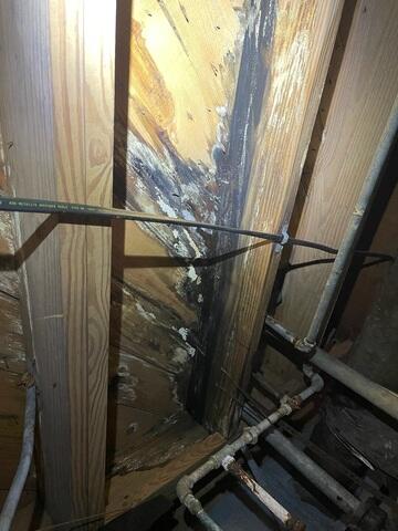 Rotted Joists