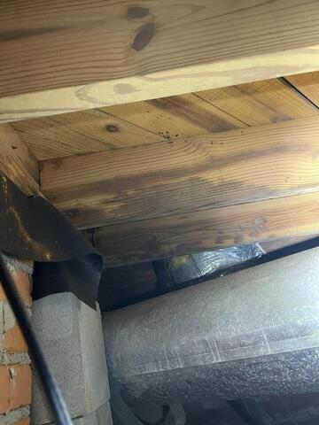 Wet Crawlspace Wood