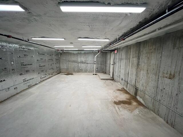 Wet Basement Conditions