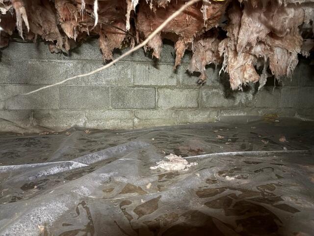 Debris and Moisture-Filled Crawl Space