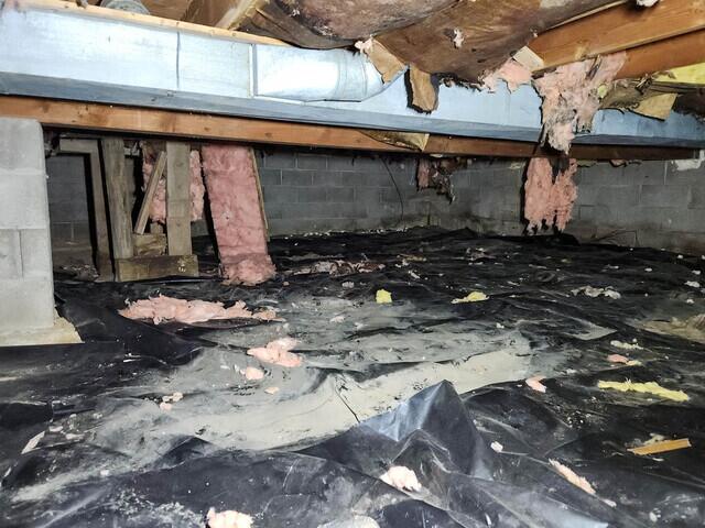 Before Bettendorf, IA Crawl Space Moisture Control