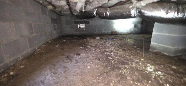 Crawl Space Moisture