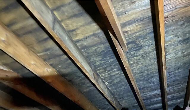 Before Attic Mold