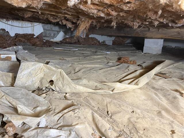 Inhospitable Environment