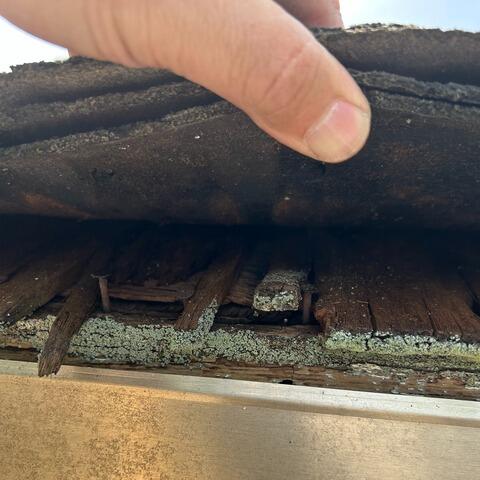 Three Layers & Rotted Plywood