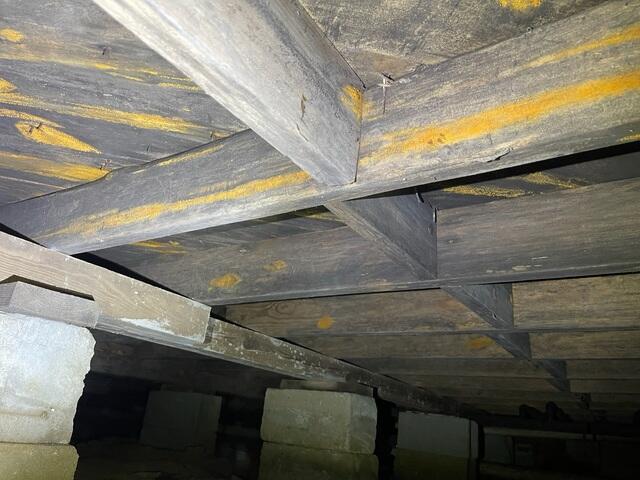 Moldy Crawl Space