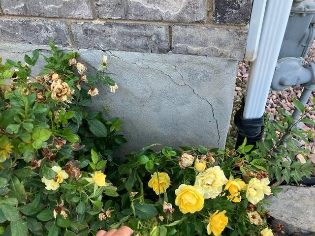 Foundation Crack Close-Up