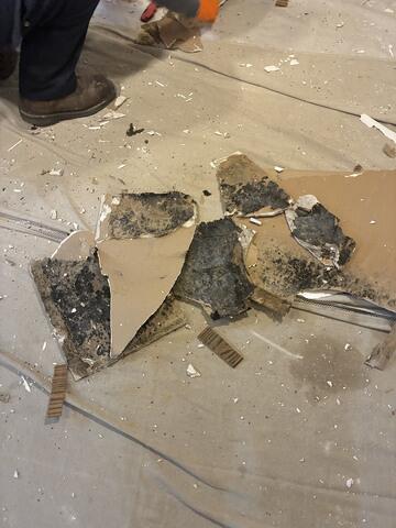 Remove the Contaminated Sections