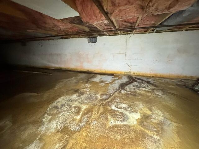 Damp Crawl Space