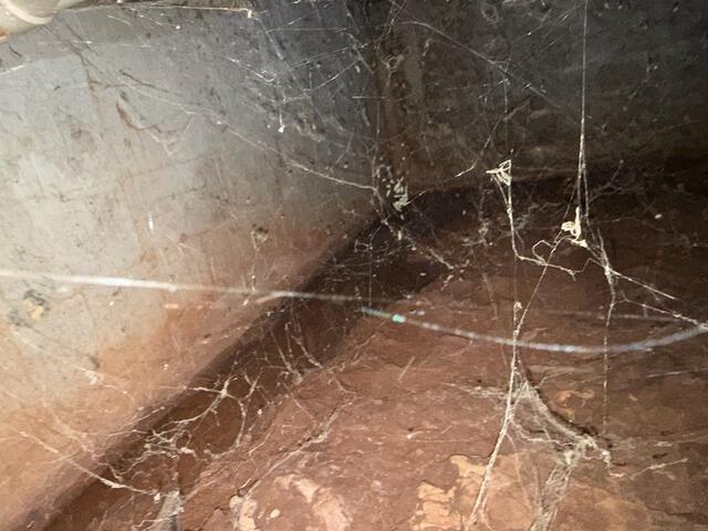 Standing Water in Crawl Space