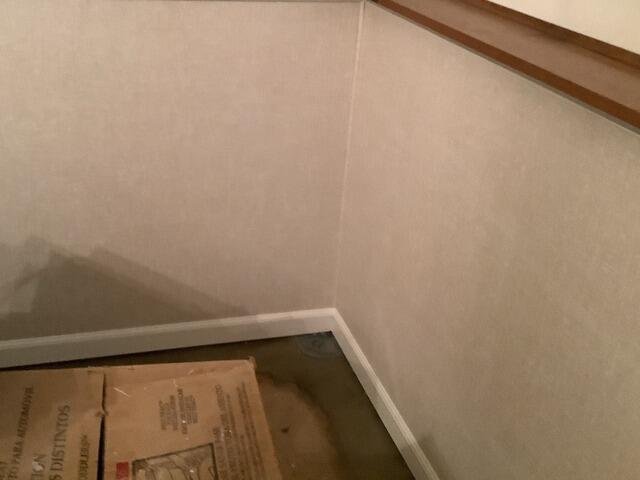Basement Mold Removal and Upgraded Paneling