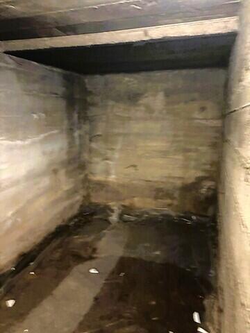 Damp Basement